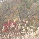 어느 날 오후 이미지