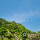 부산회집 이미지