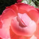 배산체육공원 이미지