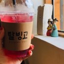 안동빙고하우스 이미지