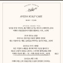 데이지엘헤어 과천점 이미지