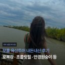 케리어안경 | [세부 보홀 5박 6일] 보홀 육상투어 내돈내산 후기: 로복강 · 초콜릿힐 · 안경원숭이 등
