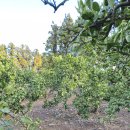 녹산2농장 이미지