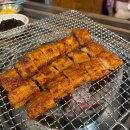 대구 사수동 애견동반가능 아나고 맛집 김가네 산호참숯불아나고곰장어