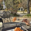 노곡로 | 산뷰 가을단풍 멋진 베이커리카페 경기광주퇴촌 빵굽는정원 내돈내산 후기