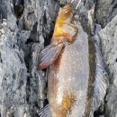 아름민박 이미지