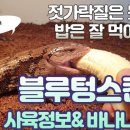 와이엔케이렙타일