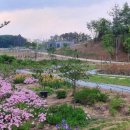 도곡2리마을회관 이미지