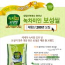 보성녹차미인 이미지