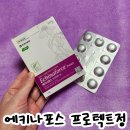 초전약국 | 초기 감기 잡는 에키나포스 프로텍트정 효과부터 복용법까지 체크