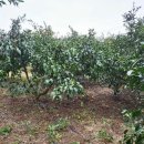 서귀포시 노인복지회관 이미지