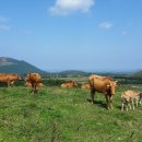 가을목장 이미지