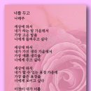 너를 두고 - 나태주 이미지