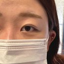 두달 이상 유지되는 수원 율전동 "문라잇래쉬" 속눈썹 펌 후기