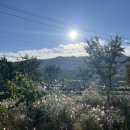 자등 5리 이미지