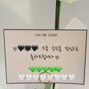 러브미플레르