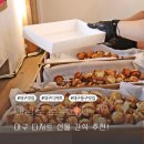 동구청어린이집 | 대구 디저트 선물 호두과자 간식 추천 아양로호두과자
