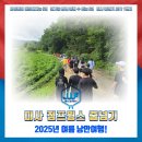 미사 점프윙스 줄넘기 이미지