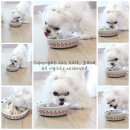 강아지오요요 네이버블로그