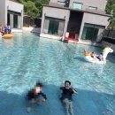 남이섬설3 이미지