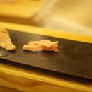 오로지연어랑 이미지