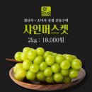 [마감] 공동구매 샤인머스켓 2kg 18,000원 이미지