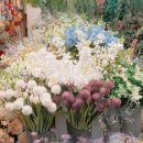 자유도매시장 이미지