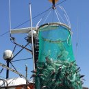 전복총각 이미지