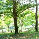 서해 피격 공무원 월북 맞는데, 왜 뒤집어? 윤석열의 안보 조작 폭로! 이미지