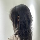꼬르꼬르 헤어(Corcor hair) | 부산 서면·전포 사잇길, 미용실 유목민 탈출 시켜준 레이어드 잘하는 미용실 추천 / Corcor hair