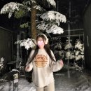 진부PC | (강원도) 강원도 평창 밀브릿지, 강원도 숙소 추천 눈 오는 숲속 감성 숙소, 오대산 전나무 숲속 힐링...