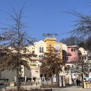 동아온천사우나 | 에버랜드 캐리비안베이 겨울 카피바라 온수풀·스파 온천 이용 후기