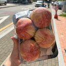인천가원초등학교 | 루원시티과일 올잇마켓 가정점 후기