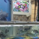 신월동123 이미지