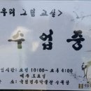 그림교실 이미지
