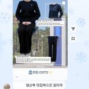 리피스평화교육연구소