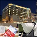 프라다 | 삿포로 명품쇼핑 필수 코스, 다이마루 프라다호보백 실물 후기