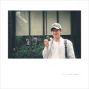 낭만살쾡이