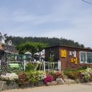 도담 펜션민박 네이버블로그