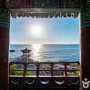 당근마차 이미지