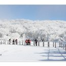 겨울왕국 한라산(漢拏山) 눈꽃산행 및 국토 최남단 마라도(馬羅島) 여행후기.