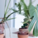 브로디캠프 이미지