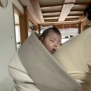아기 포대기 추천 한달 사용 후기! 신생아 포대기 어부바몰 7부 포대기