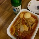 정든닭발양재