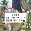 치앙마이 주말마켓 4곳 추천! 직접 다녀온 솔직 후기