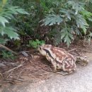 무지개약수터 이미지