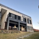 [경주숙소] 포레스트173 쉼 힐링 가득한 가성비 풀빌라 숙소