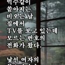 일장춘몽 화류 춘몽 // 어느 노인의 고백 이미지