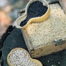 보인한약국 이미지