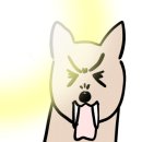 봉담쭈꾸미 이미지